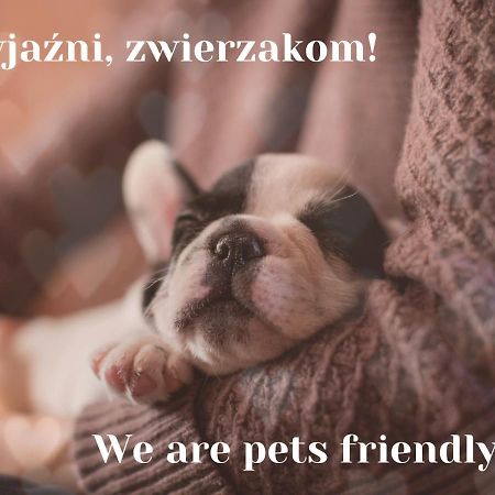 Willa Jordanowka Czorsztyn Esterno foto