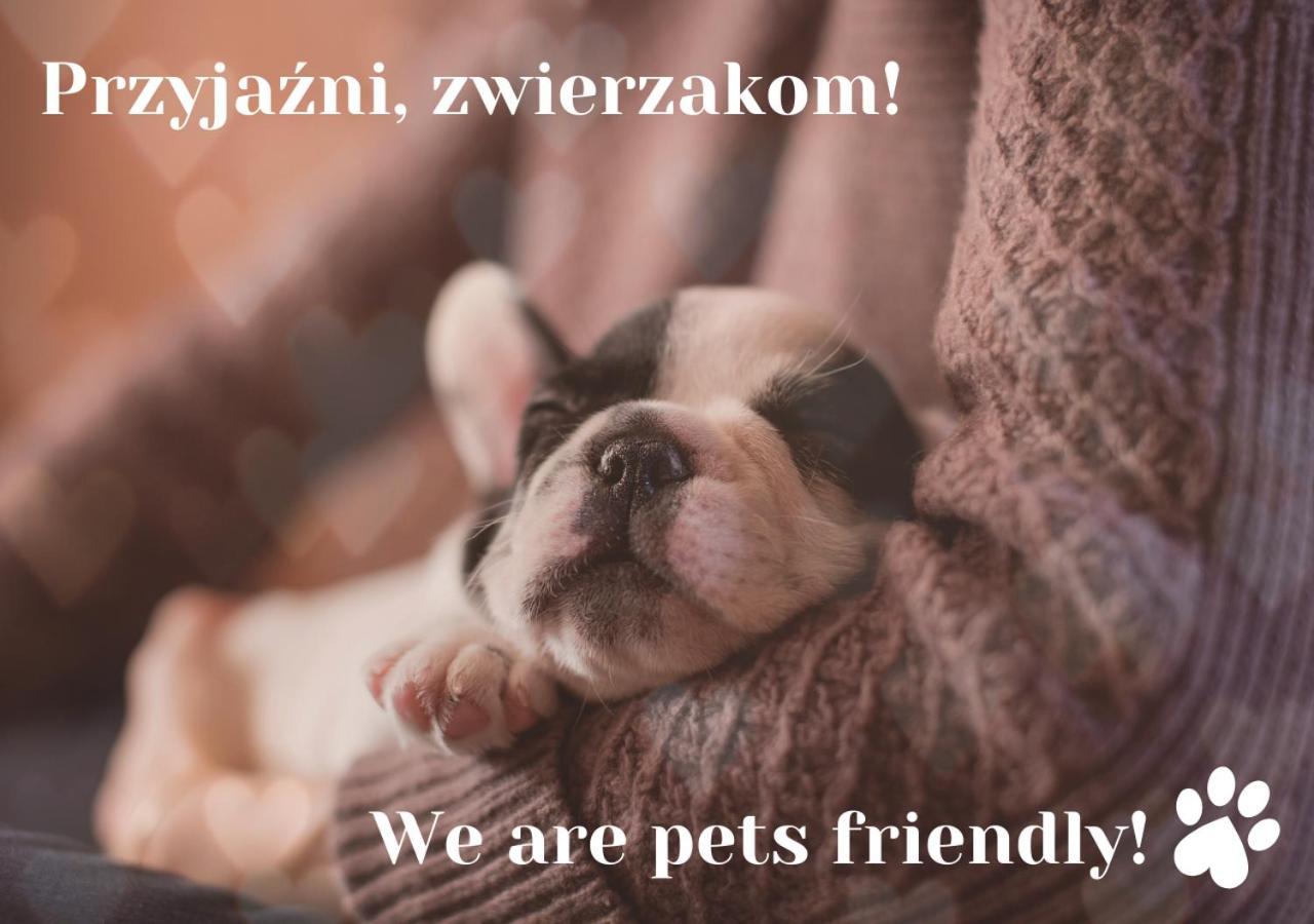 Willa Jordanowka Czorsztyn Esterno foto